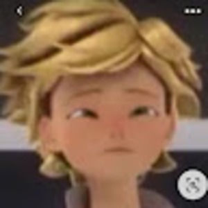 Meet your Posher, Piper